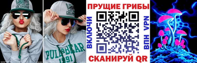 Купить где  Медногорск  Псилоцибиновые грибы ЛСД 