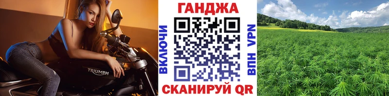 Каннабис семена  Купить закладки  Медногорск 